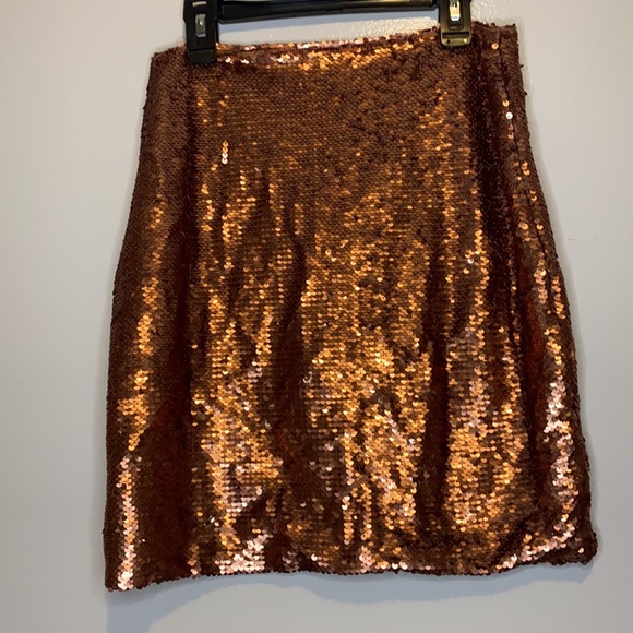 Sequin Skirt - Picture 2 of 3